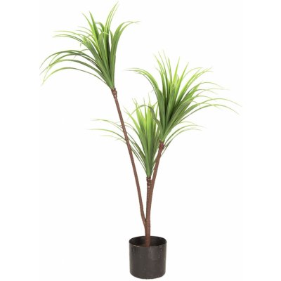 Dekorační pokojová rostlina Dracena - 75 cm – Zboží Mobilmania