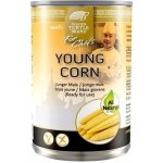 Golden Turtle Mladé kukuřičky 425 g – Hledejceny.cz