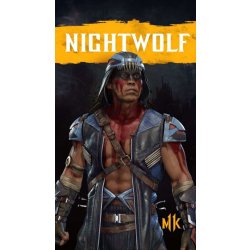 Mortal Kombat 11 Nightwolf