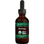 Global Healing RAW extrakt z moringy 59,2 ml – Hledejceny.cz