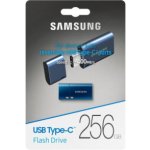 Samsung 256GB MUF-256DA/APC – Zboží Živě