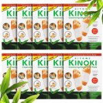 Kinoki SC6001 Detoxikační náplasti 100 ks – Sleviste.cz
