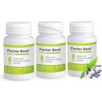 OKG Factor Base Detox 180 tablet – Hledejceny.cz