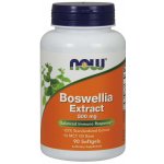 Now Foods Boswellia Extrakt 500 mg 90 softgelových kapslí – Hledejceny.cz