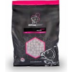 Kevin Nash Boilies Citruz 1 kg 24 mm – Zboží Mobilmania