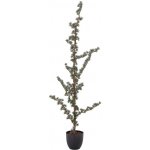 Bloomingville Umělý vánoční strom Vita 90 cm – Hledejceny.cz