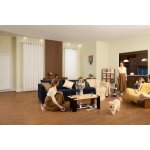 Tineco Floor One Switch i5 Stretch – Zboží Dáma