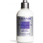L´Occitane Lavande tělové mléko 250 ml – Hledejceny.cz