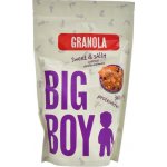 Big Boy Proteinová granola Sweet and Salty s příchutí slaného karamelu 360 g – Hledejceny.cz