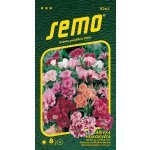 Zářivka velkokvětá směs Monarch 0,3 g – Sleviste.cz