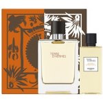 Hermes Terre D Hermes EDT pro muže 100 ml + sprchový gel 80 ml dárková sada – Hledejceny.cz