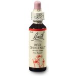 Bachovy květové esence Kaštan červený Red Chestnut 20 ml – Hledejceny.cz