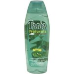Tania Naturals kopřivový šampon 1000 ml – Hledejceny.cz
