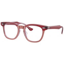 Ray Ban Junior RY9098V 3960