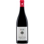 Franz Keller Pinot Noir Oberrotweil Baden 2022 suché 13 % 0,75 l (holá láhev) – Hledejceny.cz