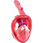 Agama Dory – Zboží Dáma