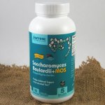Jarrow Saccharomyces Boulardii + MOS probiotika 5 miliard x 90 kapslí – Hledejceny.cz