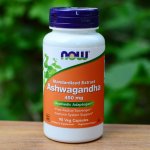 NOW Foods Ashwagandha Vitánie snodárná extrakt 450 mg 90 rostlinných kapslí – Hledejceny.cz