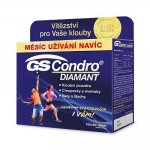 GS Condro Diamant 100 + 60 tablet – Zboží Mobilmania