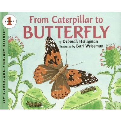 From Caterpillar to Butterfly Heiligman DeborahPaperback – Zboží Mobilmania