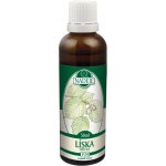 Naděje Líska tinktura z pupenů rostlin 50 ml – Hledejceny.cz