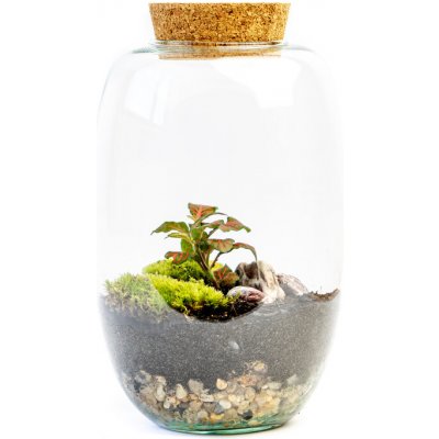 Gardners Skleněná dóza Cornus s korkovým špuntem, 22x15 cm - osázené vlhkomilně – Hledejceny.cz