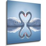 Skleněný obraz 1D - 50 x 50 cm - Romantic two swans, symbol of love. Romantické dvě labutě, symbol lásky. – Hledejceny.cz