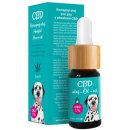 Vitamíny pro psa Zelená Země CBD olej pro zvířata 5% 10 ml