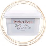 Perfect Equi Dog Active 500 g – Hledejceny.cz