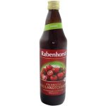 Rabenhorst Šťáva rajče Bio 0,75 l – Hledejceny.cz