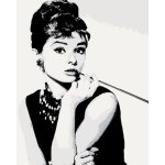 Malování podle čísel AUDREY HEPBURN ČERNOBÍLÁ – Hledejceny.cz