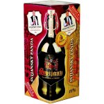 Svijany Svijanský Fanda polot. 11° 4,8% 1 l (sklo) – Sleviste.cz