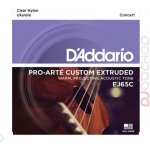 D'addario EJ65C – Sleviste.cz