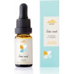 Eta Aroma esenciální olej Svěží vánek 10 ml – Hledejceny.cz