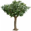Květina Luxusní umělý strom DUB OBŘÍ OHNIVZDORNÝ, 360cm