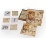 Lesní svět Zvukové pexeso Volání divočiny – Zboží Mobilmania