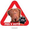 Autovýbava Grel nálepka na plech pozor pes v autě bordeauxská doga