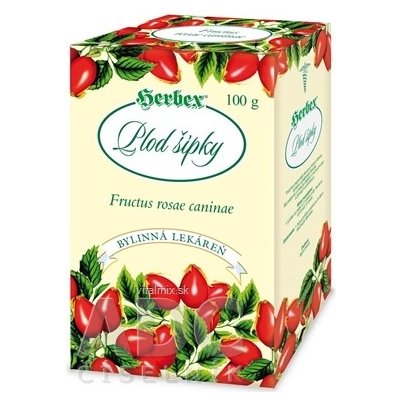 Herbex PLOD ŠIPKY sypaný čaj 100 g – Zboží Mobilmania