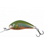 Salmo Hornet Floating Holo Oikawa 3,5 cm – Hledejceny.cz