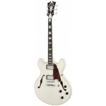 D´Angelico Premier DC – Zboží Mobilmania