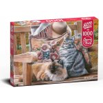 Cherry Pazzi Sit a Spell 1000 dílků – Zboží Dáma