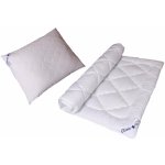 2G Přikrývka a polštář Clivie set 135x200 70x90 540g – Zbozi.Blesk.cz