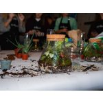 Kreativní workshop: Výroba mechárií – Hledejceny.cz