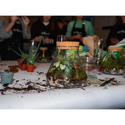 Kreativní workshop: Výroba mechárií – Hledejceny.cz