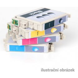 Epson C13T636900 - originální