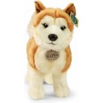 Eco-Friendly pes Akita Inu 30 cm – Zbozi.Blesk.cz
