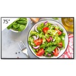 Sony FW-75BZ35L – Hledejceny.cz