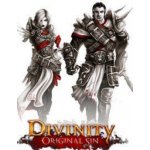 Divinity: Original Sin (Enhanced Edition) – Zbozi.Blesk.cz