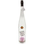 Hustopečská Mandlovka 38% 1,5 l (holá láhev) – Zboží Dáma