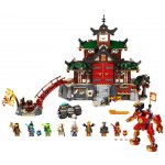 LEGO® NINJAGO® 71767 Chrám bojových umění nindžů – Hledejceny.cz